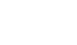 Gun_logo_white_RGB